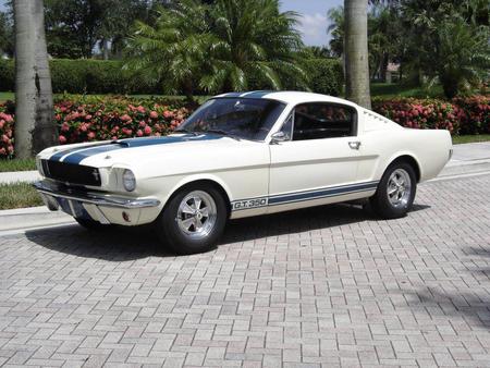 Mustang - white, ford, mustang, car