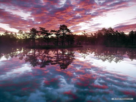 Nature - sky, tree, nature, water