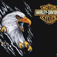 Harley