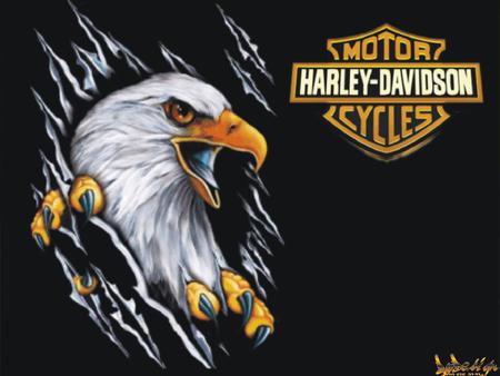 Harley - harley, eagle, davidson, logo