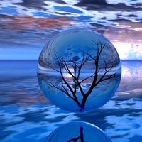 TREE IN SPHERE