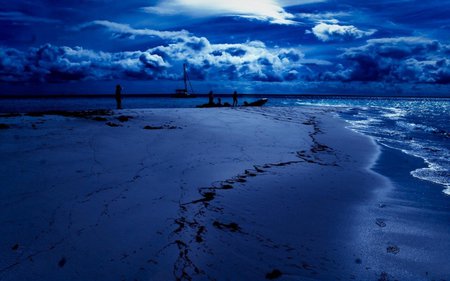 MOONLIT BEACH - sky, beach, moonlit, clouds, night