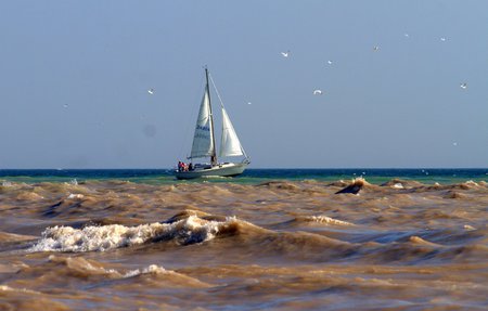 Brown Waters - sail, choppy, sailboat, brown, waves, blue grey, sand, sky