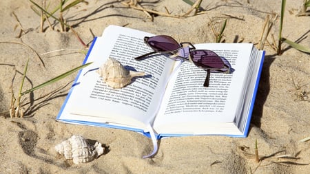 Distract from everything - book, people, nice, photography, reading, sea, entertainment, shells