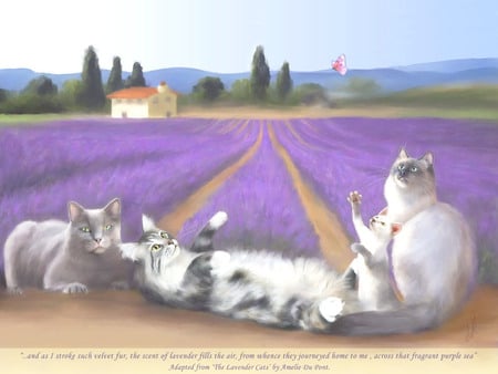    Lavendar Play               ( for my Friend Tam  - playful, trees, cats, field, house, scent, paths