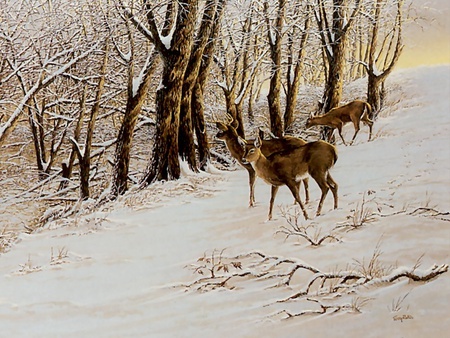 Back from the fields, by Terry Redlin - painting, art, snow, tree, deer, terry redlin