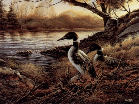 Hidden point, painting by Terry Redlin - bird, water, terry redlin, painting, art