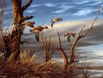 Aging Shoreline, by Terry Redlin