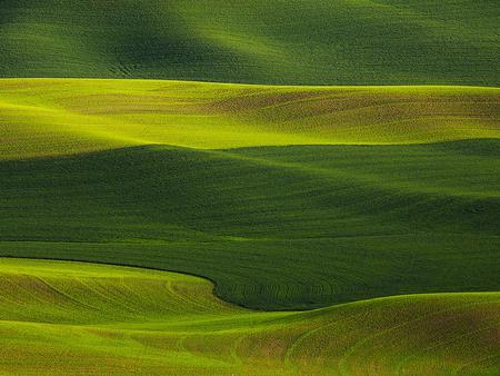 Sky View - sky, nature, view, green