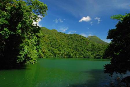 Lake - sky, lake, trees, nature