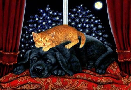 Bestest Friends - moon, stars, window, cat, full moon, dog, draperies, blanket