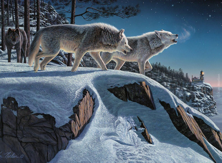 Moonlight Prowlers - winter, lighthouse, wolf, snow, night