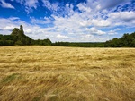 Fields of France