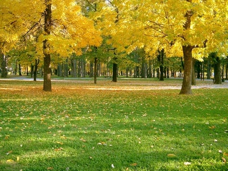 Autumn in Bitola - landscape, trees, nature, autumn