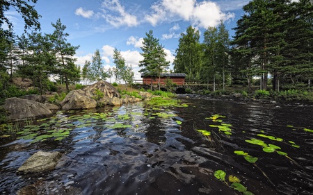 Between Two Lakes - nature, lake, forest, trees