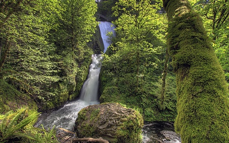 Bridal Veil Falls - nature, green, forest, waterfall