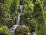 Bridal Veil Falls