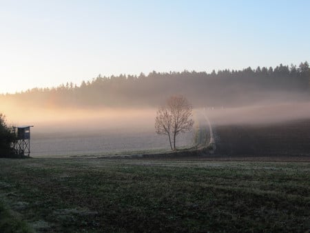 Autumn sunrise - fields, forest, sunrise, nature trees