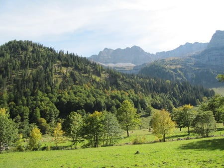 Peaceful Austria - fields, trees, forests, mountains, austria