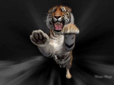 Tiger Attack - claws, teeth, agression, attack, black, white, mouth, grey, orange