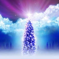 Shining christmas tree