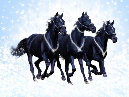 Russian troika - horse, snow, winter, troika, run