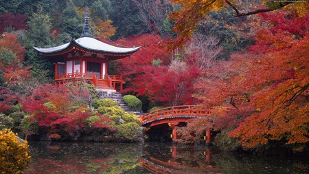 Japanese Garden - trees, water, autumn leaf, beautiful, reflection, res, garden, japanese tea house, bridge