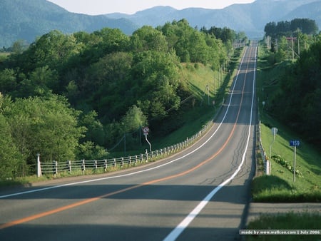 Road - green, road, travel, new