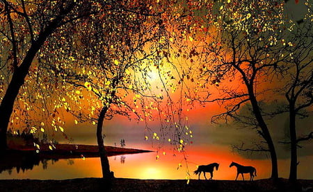 Horses in the sunset