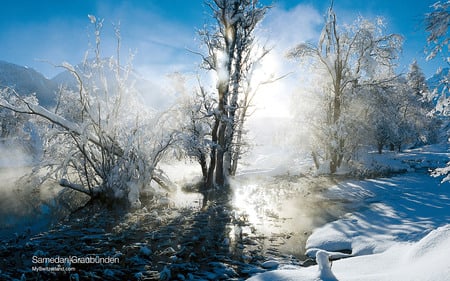 Winter in Switzerland - river, winter, snow, switzerland, tree, sun