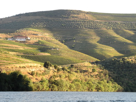 Portugal - terraces, trees, hills, farm, sky