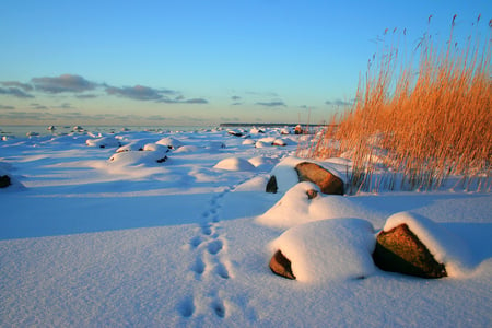 Winter - sky, winter, snow, landscape