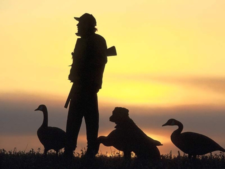 Duck Hunting - man, shadow, ducks, gun