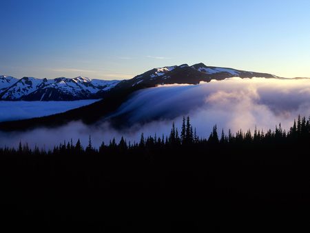 Fog-and-Mountains - picture, cool, fog, olympic-national-park, mountains, washington