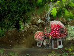 mushroom house