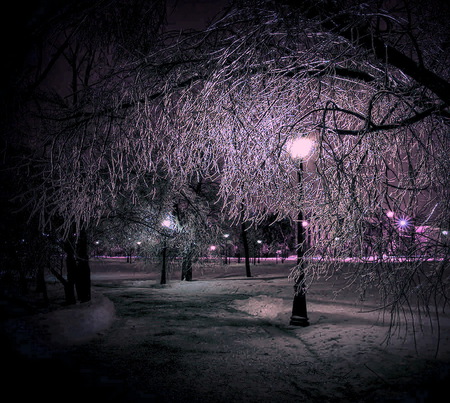 Winter park - trees, winter, park, path, muted light, benches, frost, snow, lamps