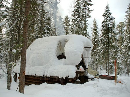 snow cabin - deep snow, winter, forest, cabin