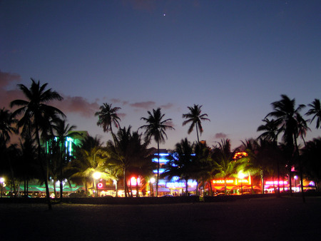 beach color - vibrant, beach, palm trees, night, color