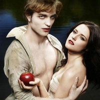 Twilight saga