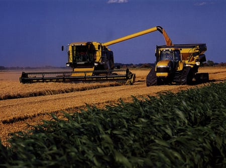 Trucks farming - truck, grass, tractor, sky