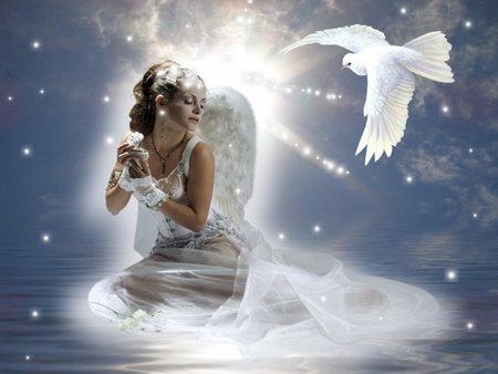 ANGEL - sparkles, angel, dove, light