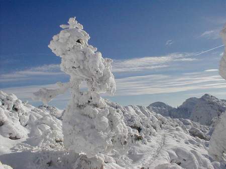 Velebitske prtine - white, winter, mauntain velebit, snow, croatia