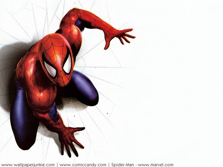 spider man - wall crawler, web slinger, friendly neighbourhood, amazing