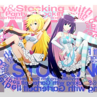 panty and stocking with garter belt