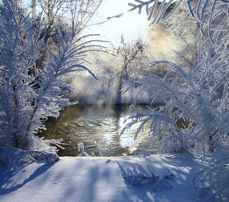 Frozen beauty - trees, cold, shadows, snow, water, winter, sun rays