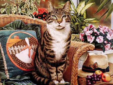 My still flife * Painting by Geoffrey Tristam - painting, geoffrey tristam, hat, cat, pad, grape, flower, kitten