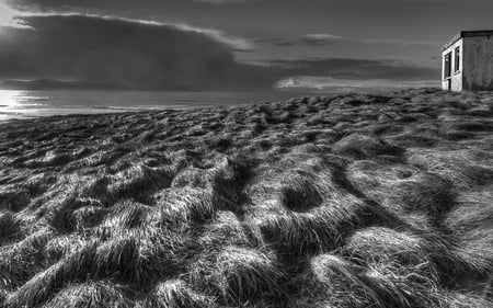 Dooey Point - white, nature, beaches, black, photo