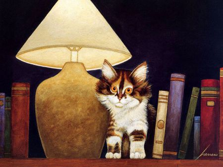 I need much light to read - animal, library, kitten, feline, book, lamp, light, cat