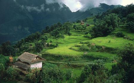 Num Village Nepal - houses, trees, mountain, terrace, tracks, fertile, home, clouds, green, land