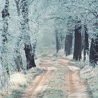 Winter road